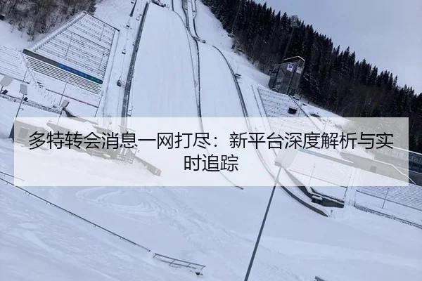 多特转会消息一网打尽：新平台深度解析与实时追踪